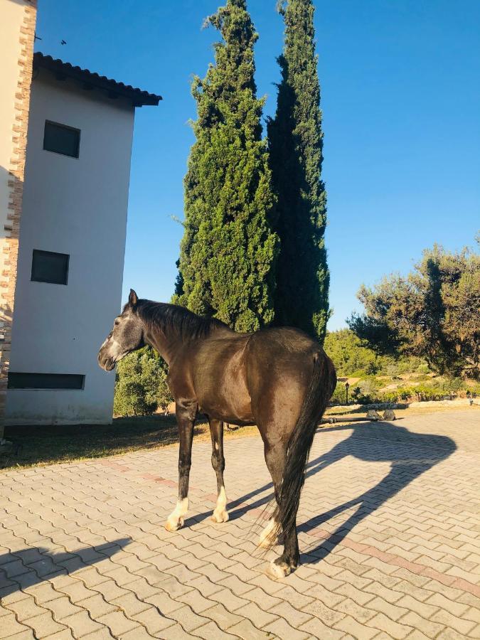Elena'S Country Home & Spa Kalithies Esterno foto