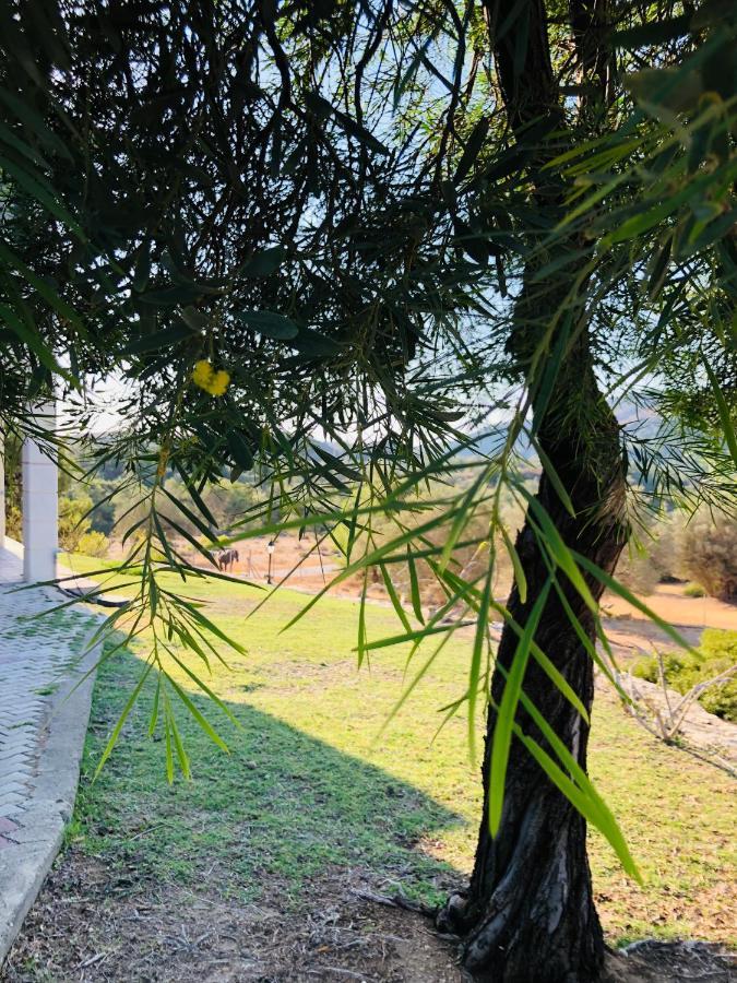 Elena'S Country Home & Spa Kalithies Esterno foto